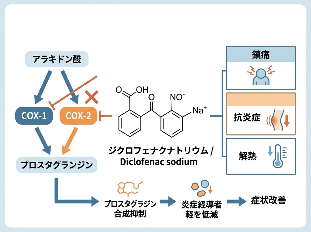 ジクロフェナクナトリウムの薬理作用と効果機序