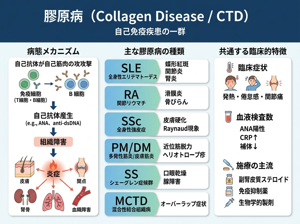 膠原病とは:自己免疫疾患としての特徴と種類
